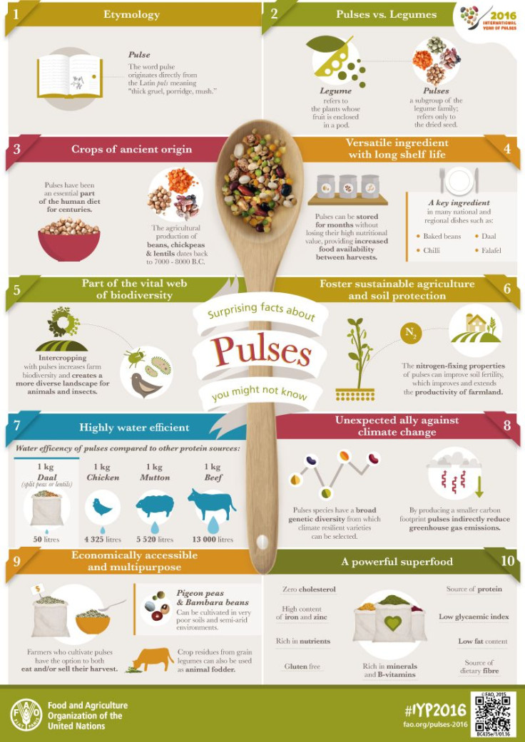 Pulses Facts & Infographic