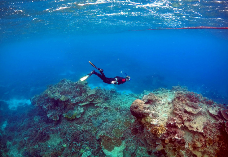 Great Barrier Reef