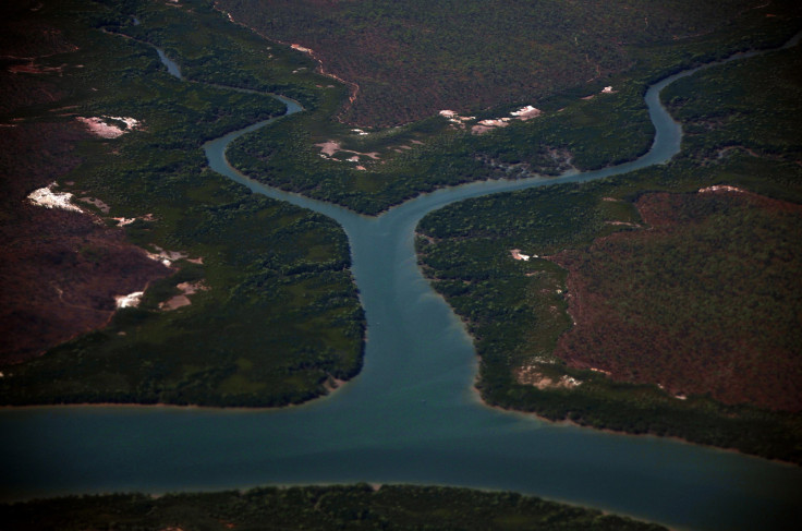 Mangrove Australia