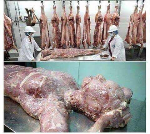 Human Meat 2