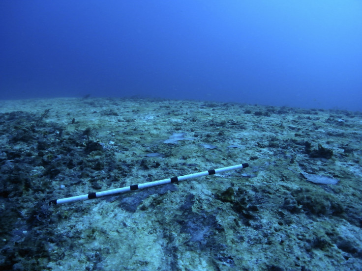 Great Barrier Reef