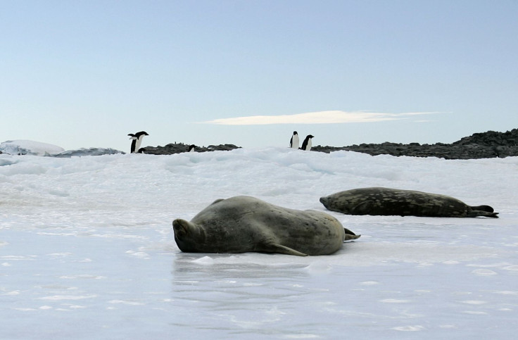 Antarctica Global Warming