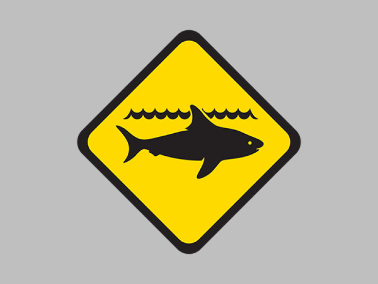 Shark Hazard Sign