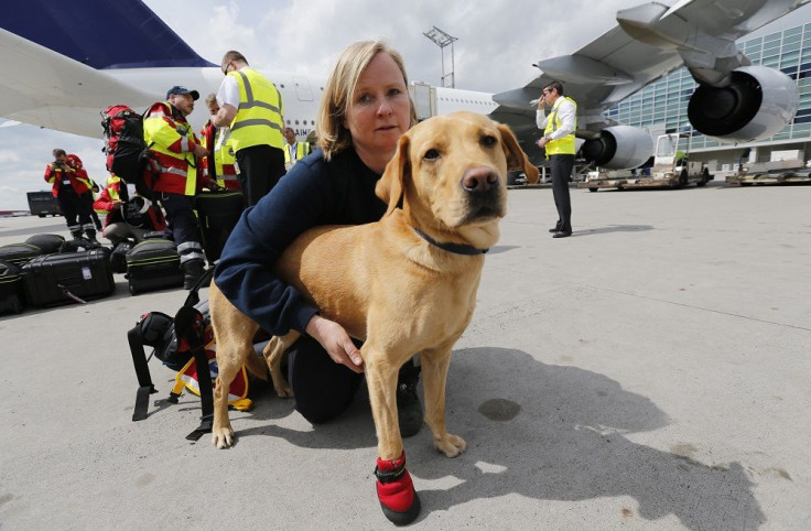 Sniffer Dog