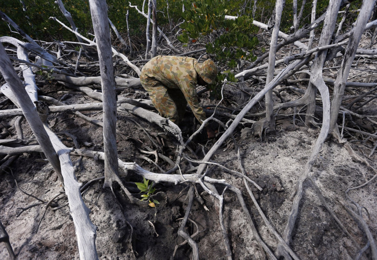 Mangroves Australia