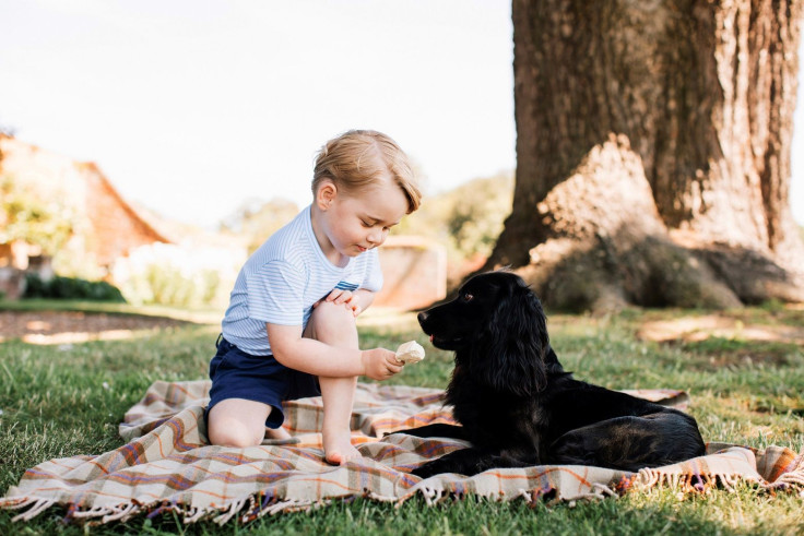 Britain's Prince George is seen with the family pet dog, Lupo, in this photograph taken in mid-July at his home in Norfolk and released by Kensington Palace to mark his third birthday, in London, Britain July 22, 2016