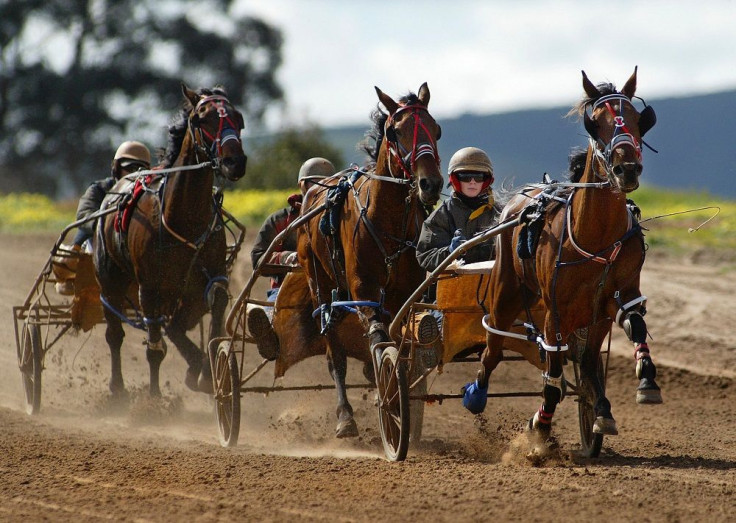 Harness Racing