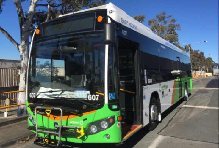 Transport Canberra rapid bus