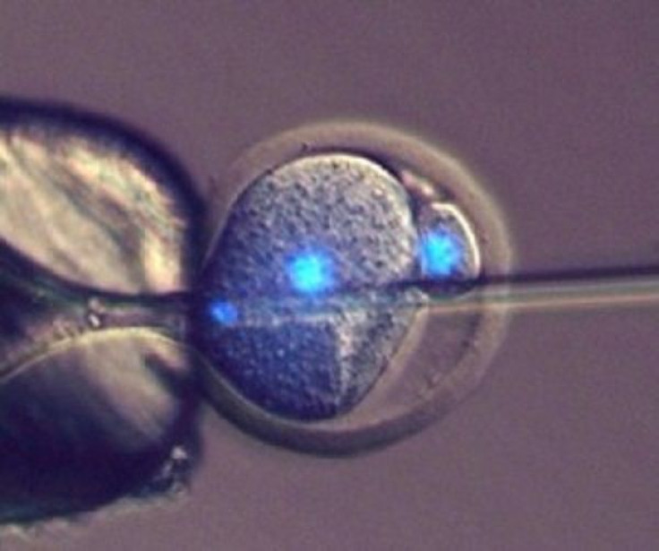 Offspring from Non-Egg Cells