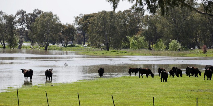 Australia Pastoral Land