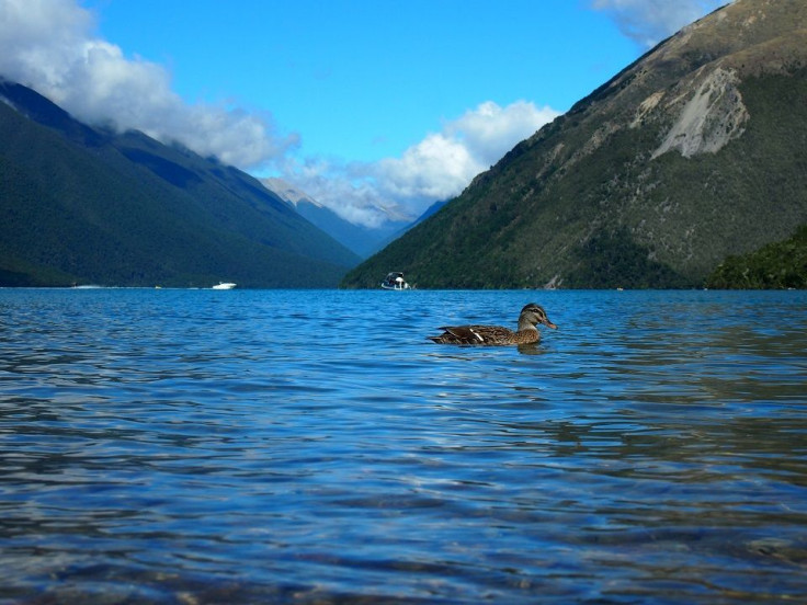 South Island, New Zealand