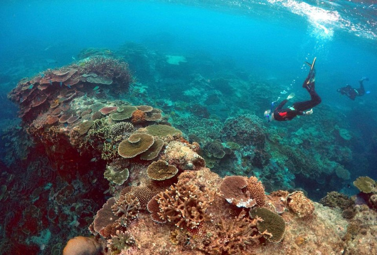 Great Barrier Reef