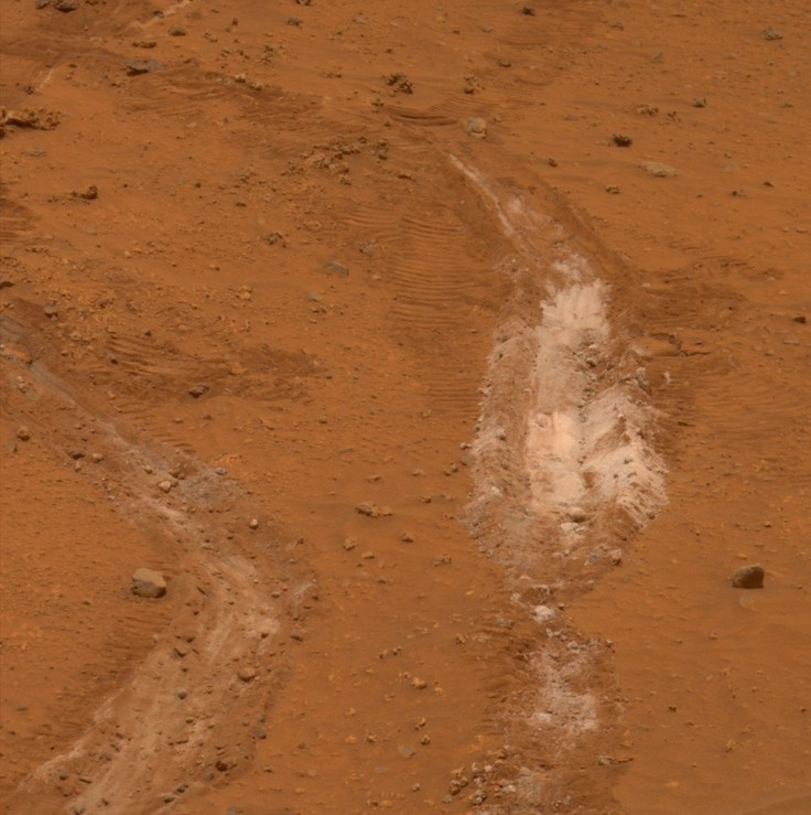 Martian Soil