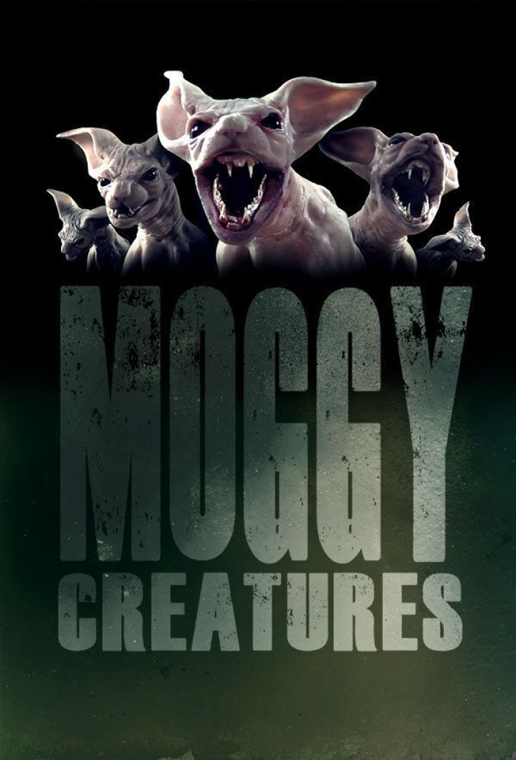 Moggy Creatures poster