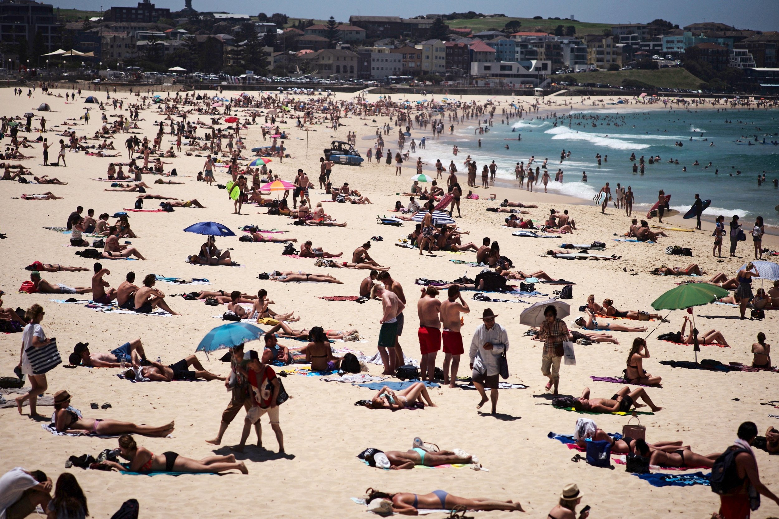 Sydney Heatwave Temperatures could rise to high 30s, mid 40s