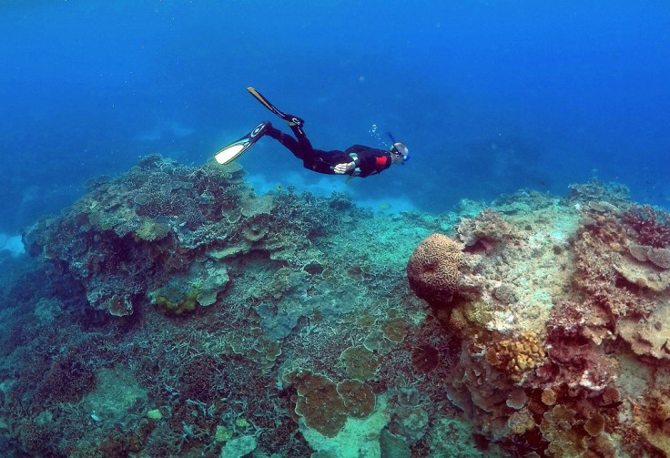 The Great Barrier Reef