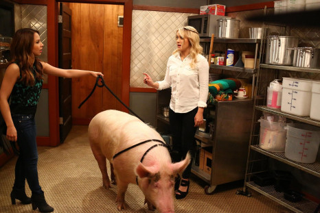 'Young & Hungry' season 5 release date
