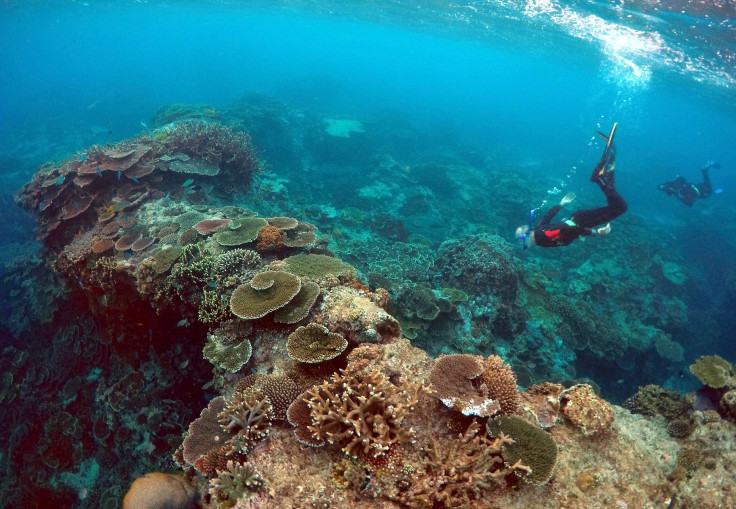 Great Barrier Reef