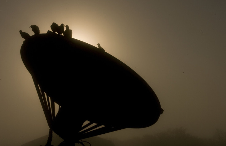 Birds sit on top of a satellite dish as heavy fog envelops the Kennedy Space Center in Cape Canaveral, Florida