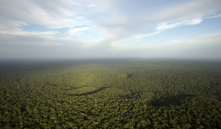 A view is seen from the Amazon Tall Tower Observatory (ATTO) in Sao Sebastiao do Uatuma in the middle of the Amazon forest in Amazonas state January 10, 2015