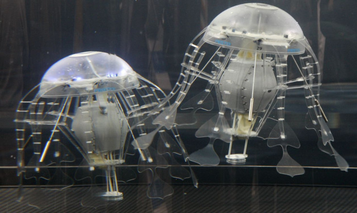 robotic jellyfishes