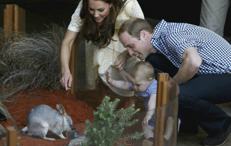 English royal family and a bilby