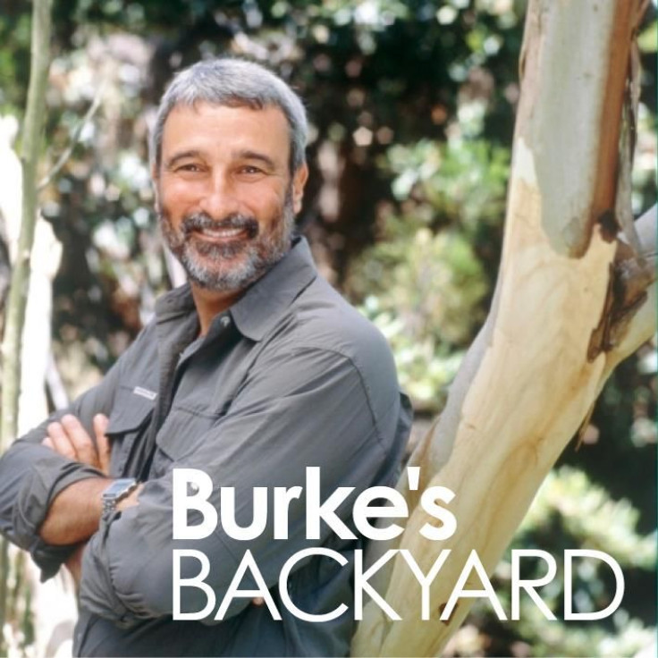 Don Burke from "Burke's Backyard"