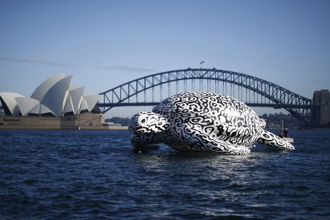 A floating sculpture named 'Alpha Turtle' is pictured in front of the Sydney Opera House and Harbour Bridge, August 15, 2014.