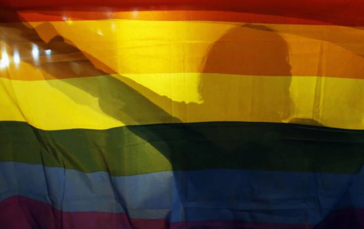 A gay rights activist holds a rainbow flag while marching in downtown Belgrade September 27, 2013.