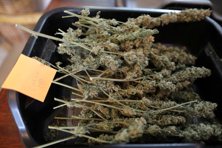 Hemp lies on the kitchen table at Sisters of the Valley near Merced, California, U.S., April 18, 2017. Picture taken April 18, 2017.