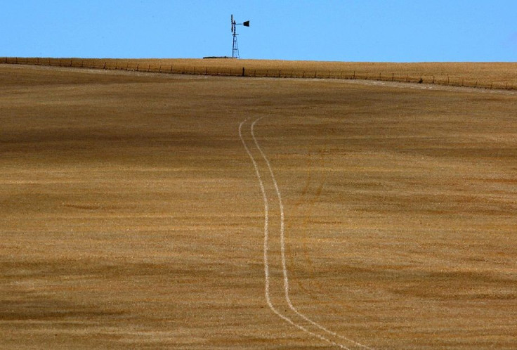 NSW drought