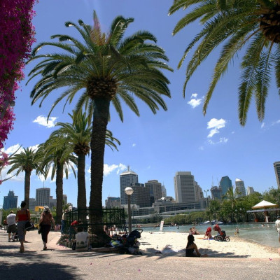 Palm trees line the man-made beach known as South Bank beach in Brisbane October 19, 2003.