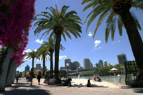 Palm trees line the man-made beach known as South Bank beach in Brisbane October 19, 2003.