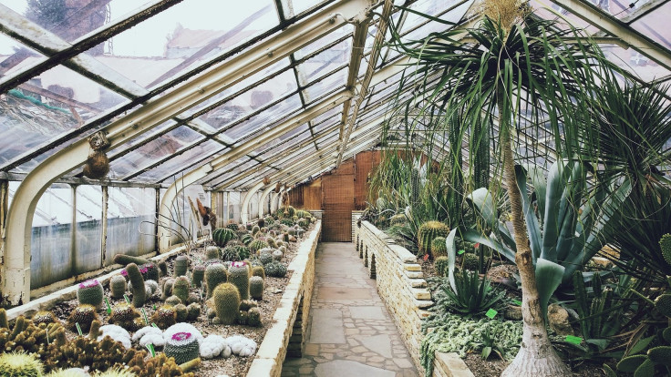 greenhouse-768740_1920