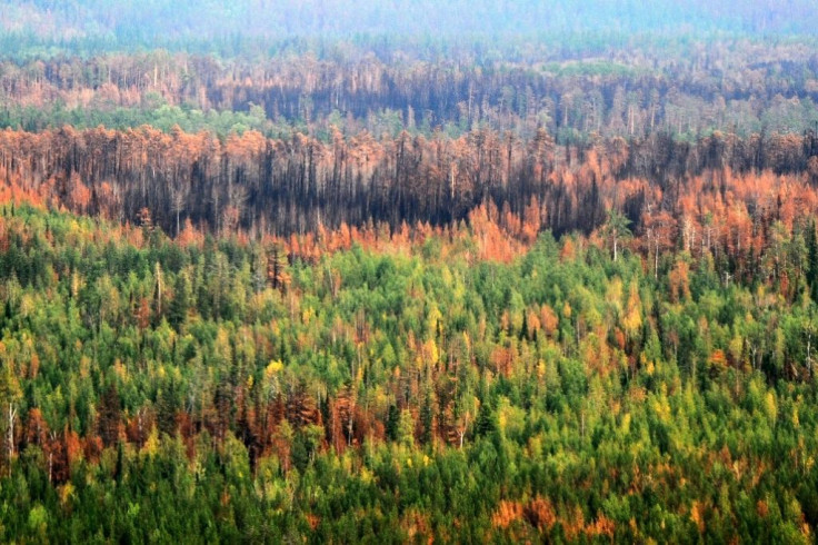 Russia struggles with wildfires in its remote taiga every summer