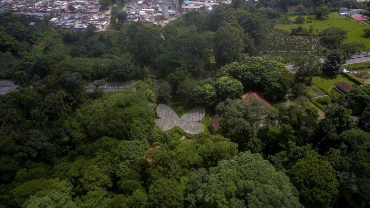 There is a lot to admire, and maintain, in the Quindio park: rare orchids, laurels, aquatic and medicinal plants, but also a geology and soil museum, an insect zoo, a butterfly garden, a reference library, an auditorium and a movie theater