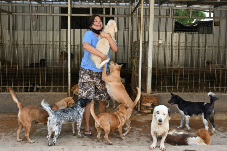 Somali and her team rescued dozens of puppies bound for a local Korean eatery this month