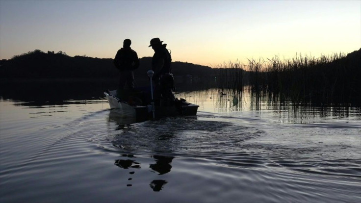 The common carp, an invasive fish species in South Africa, has turned into an unlikely food source for needy coastal communities hit by coronavirus restrictions