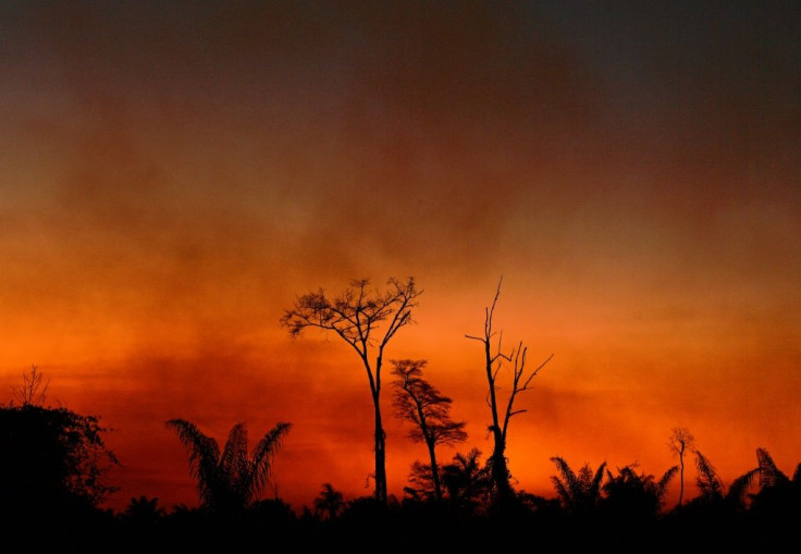 Smoke rises from a burnt area of land in the Xingu Indigenous Park, Mato Grosso state, Brazil, in the Amazon basin, on August 6, 2020
