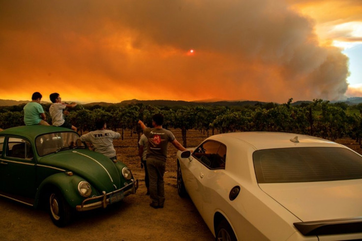 People watch the Walbridge fire, part of the larger LNU Lightning Complex fire, from a vineyard in Healdsburg, California on August 20, 2020