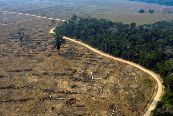 Burnt areas of the Amazon rainforest in Brazil's Rondonia state in August 2019 -- meat processing giant JBS has said it will work to ensure its cattle do not come from deforested regions after being accused of fueling destruction of the Amazon