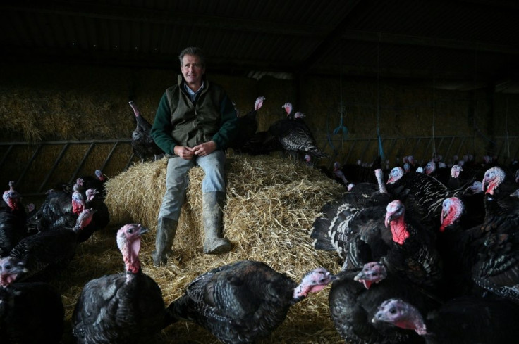 Farmer Mark Chilcott with turkeys at his farm of 440 acres in Dorset, southwest England