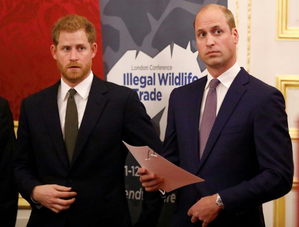 Prince William And Prince Harry Reunite To Honor Princess Diana S Legacy