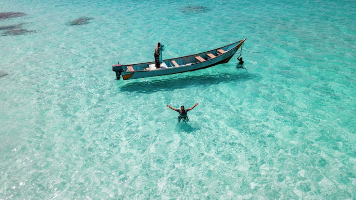 Socotra's turquoise waters are home to dolphins and other marine life
