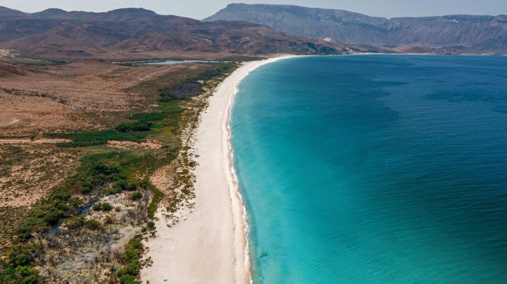 Shoab beach on the Yemeni island of Socotra, with lush landscape, distinctive trees and unique animals