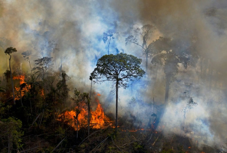 Deforestation in Brazil has surged under President Jair Bolsonaro, who has slashed funding for environmental programs since he took office in 2019 and is pushing to open protected lands to mining and agribusiness