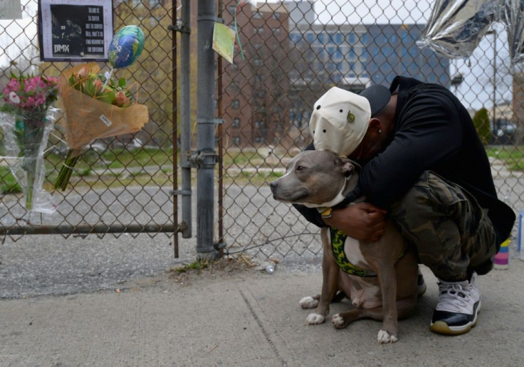 Dmx Rapper Dog DMX, Rap's Explosive, Tortured Star, Dies At 50