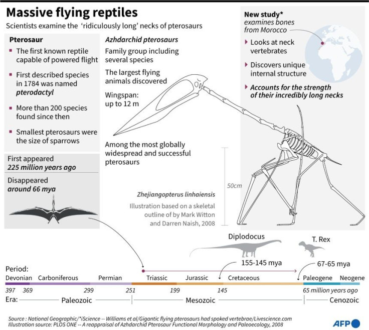 Factfile on pterosaurs, the winged reptilian group of ancient species that produced the largest flying animals on record