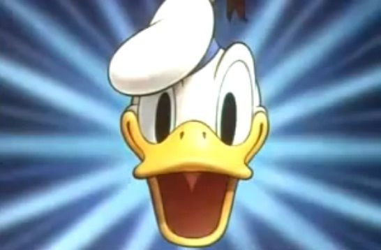 Disney's Donald Duck has appeared in more films than any of his cartoon counterparts.