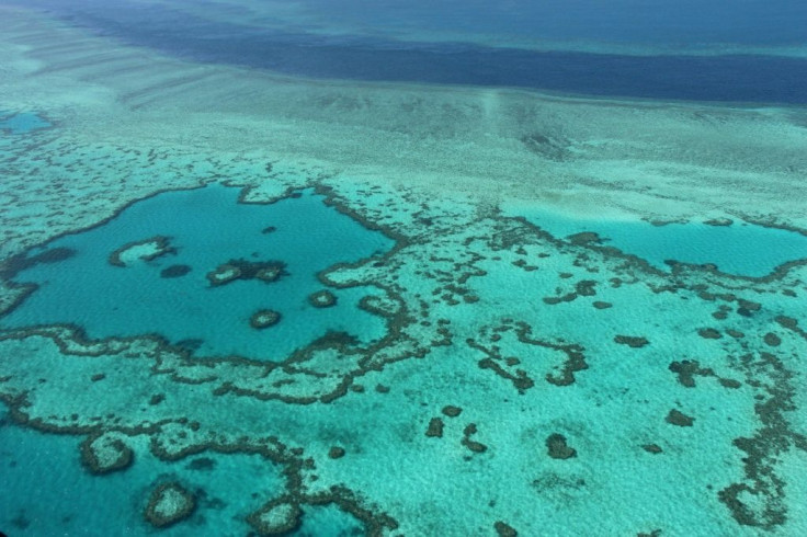 The Great Barrier Reef was worth an estimated $4 billion a year in tourism revenue for the Australian economy before the coronavirus pandemic